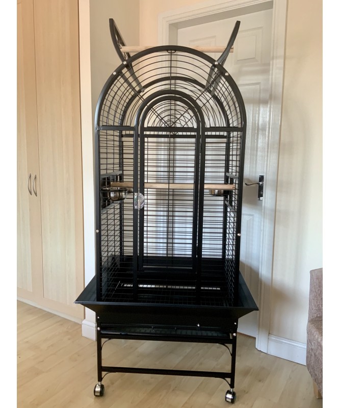 Large parrot cages for sale near me best sale